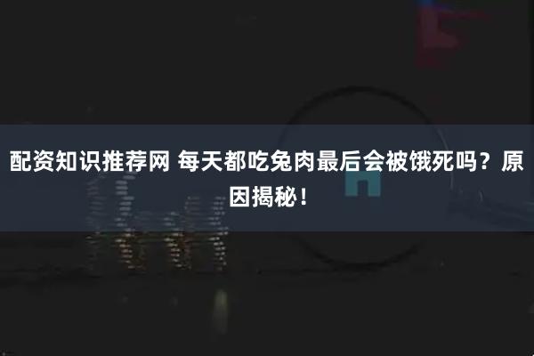 配资知识推荐网 每天都吃兔肉最后会被饿死吗？原因揭秘！