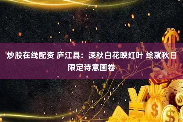 炒股在线配资 庐江县：深秋白花映红叶 绘就秋日限定诗意画卷