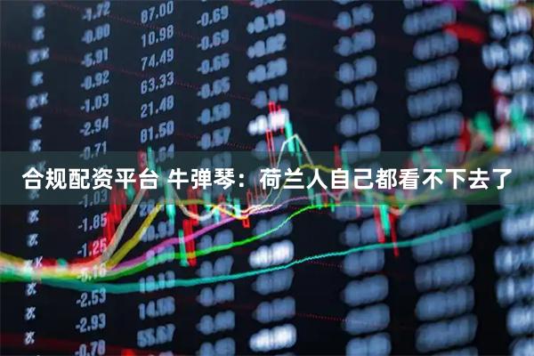 合规配资平台 牛弹琴：荷兰人自己都看不下去了