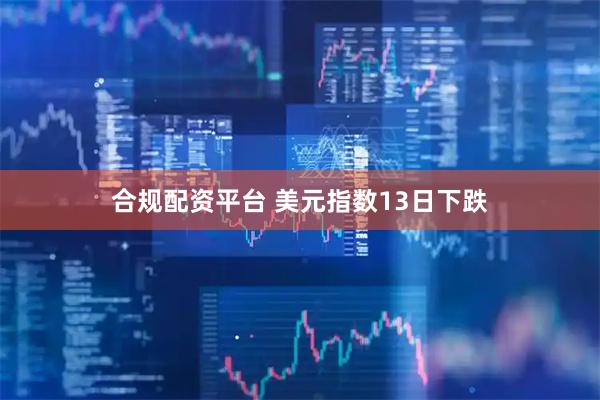 合规配资平台 美元指数13日下跌
