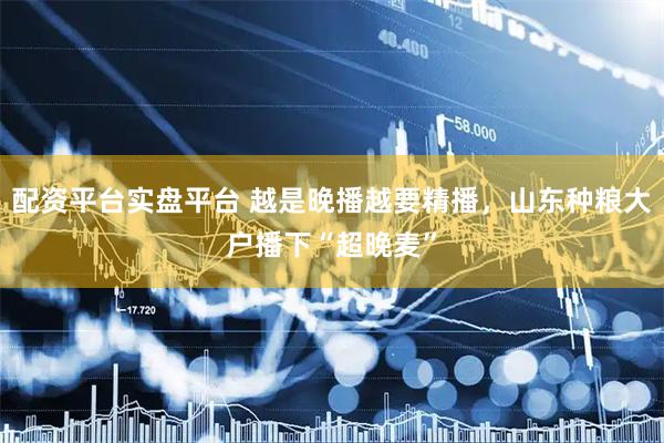 配资平台实盘平台 越是晚播越要精播，山东种粮大户播下“超晚麦”